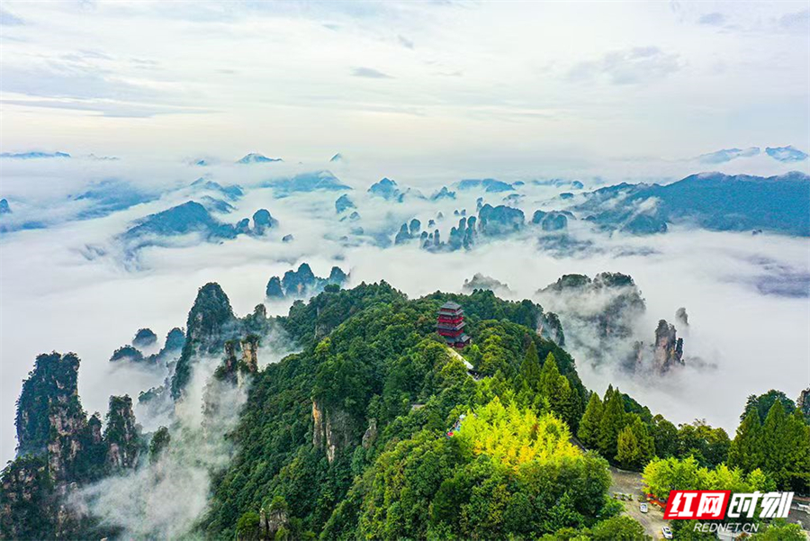 奇峰为证，温情速达——张家界三小时寻机记彰显山河与人心之美