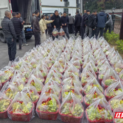 张管局工会牵线搭桥 近万斤阳光玫瑰“出山”解民忧