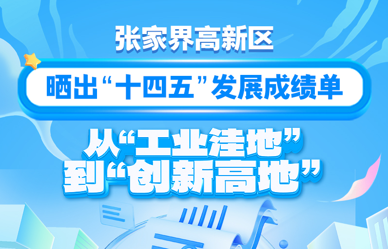 张家界高新区晒出“十四五”发展成绩单：从“工业洼地”到“创新高地”