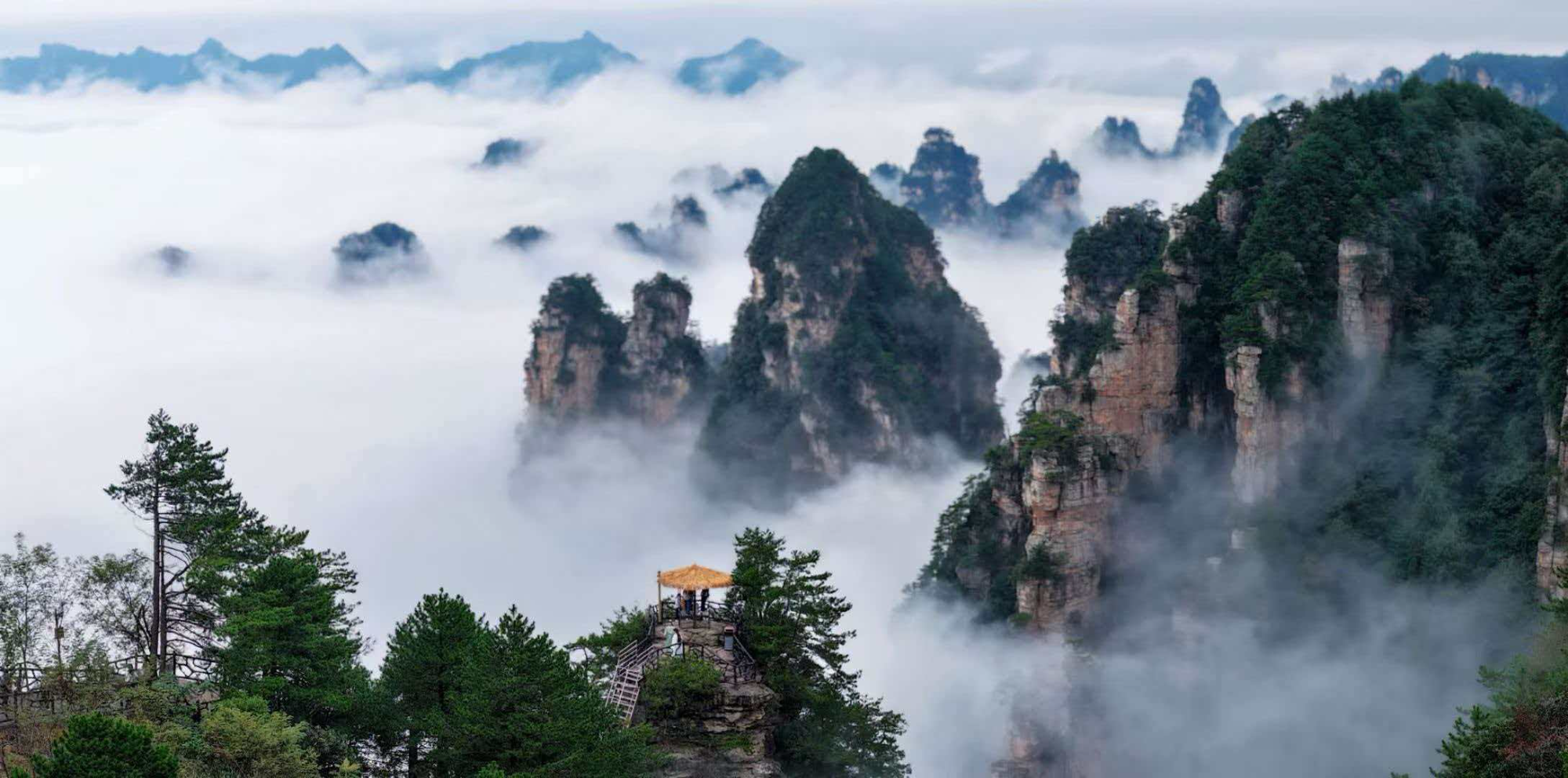 暖阳沐峰林，仙境入画来——杨家界天波府迎最佳观赏季