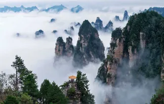 暖阳沐峰林，仙境入画来——杨家界天波府迎最佳观赏季