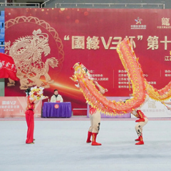 张家界学院在第十七届全国舞龙舞狮锦标赛斩获佳绩