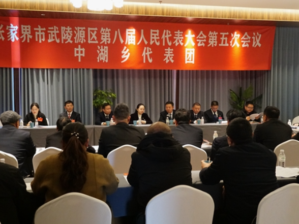 【两会进行时】武陵源：人大代表分团讨论 建言献策畅谈发展