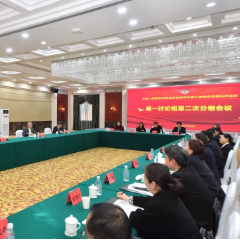 共商发展大计 凝聚奋进共识 刘革安参加市政协委员分组讨论