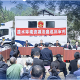 图说2025｜头雁效应之院长开庭系列海报