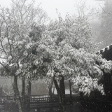 张家界天门山:跨年飞雪 美成仙境