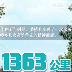 数说桑植“十四五”成绩：基础设施跨越发展 帅乡儿女奋勇争先