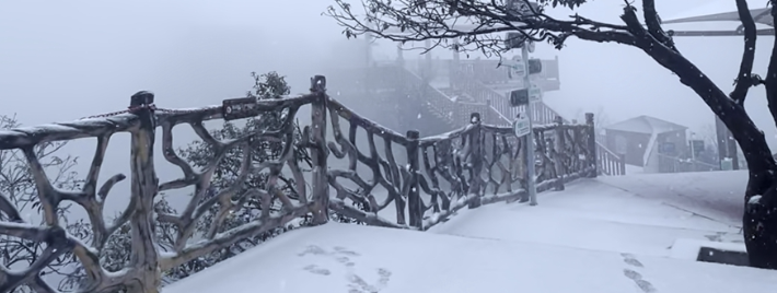 张家界七星山雪后美成童话 元旦可赴冰雪之约