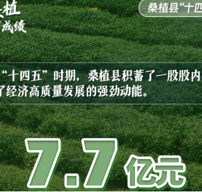 数说桑植“十四五”成绩：产业体系优化升级 帅乡沃土兴业生金