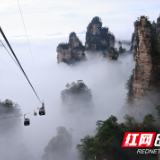 请关注！张家界国家森林公园天子山索道运营有调整