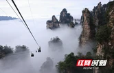 请关注！张家界国家森林公园天子山索道运营有调整