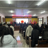 永定区新桥镇第七届人民代表大会第九次会议胜利召开