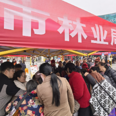 张家界市林业局开展2025年“宪法宣传周”集中宣传活动