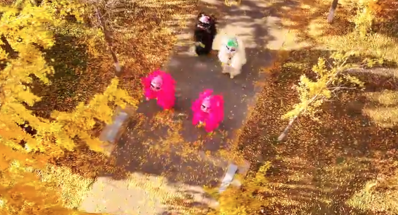 金叶漫舞！张家界学院银杏树下“狮跃呈祥”点亮校园