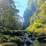 张家界金鞭溪：大雪时节山水织就斑斓画，暖阳里游人醉享秋韵余温