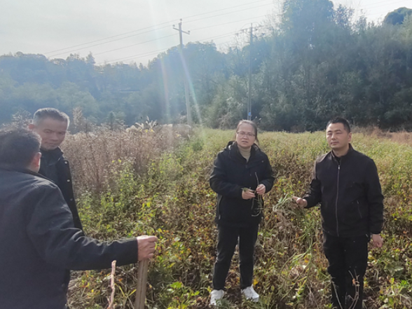 张家界武陵源：科技赋能兴产业 精准帮扶促振兴