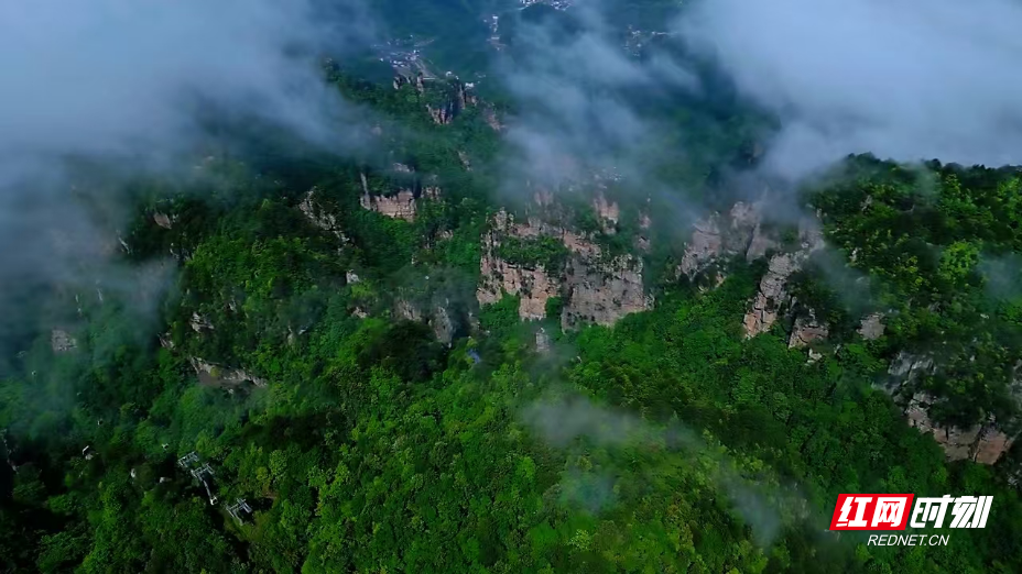 杨家界现绝美景致 雨后峰墙云海宛如仙境