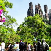 张家界武陵源迎来“五一”旅游高峰 多项便利服务“宠游客”