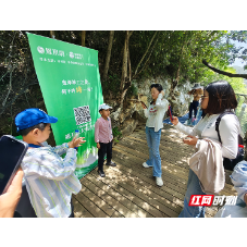 “五一”诗歌热，“AI峡客吟”活动点燃张家界大峡谷