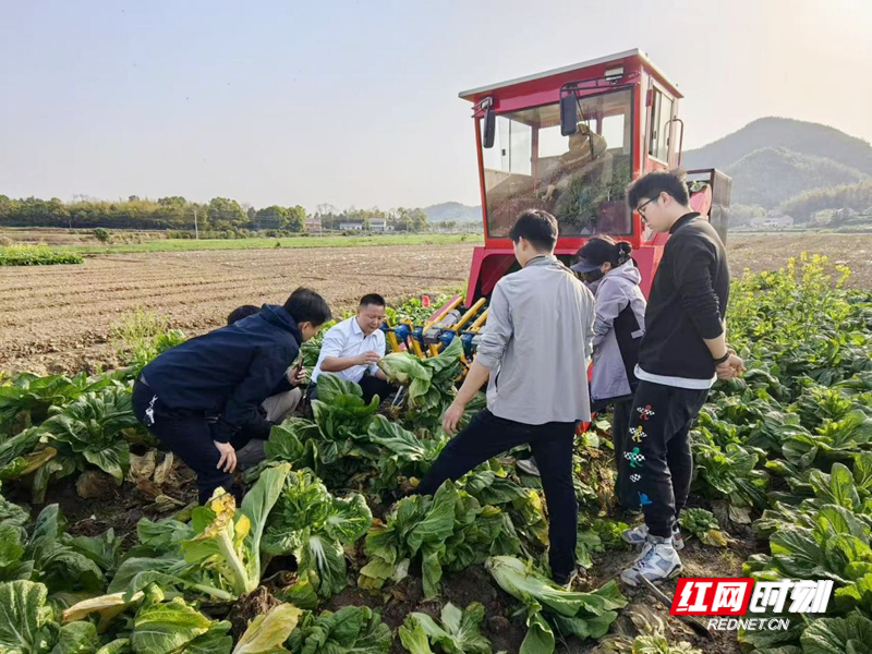峰林聚智 科创兴张丨博士团队深耕张家界 智“造”农机助农兴