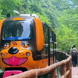 张家界十里画廊成“遛娃圣地” 亲子研学旅行成亮点