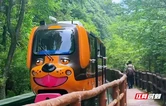 张家界十里画廊成“遛娃圣地” 亲子研学旅行成亮点