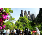五一特别策划丨张家界风景守护者：从“五员一体”看旅游服务的革新与温度
