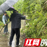 张家界市慈利县杉木桥镇：未雨绸缪筑防线 风雨同舟护安澜