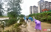 筑牢“汛”防线｜慈利县：洪峰退去显担当 勠力同心启新篇