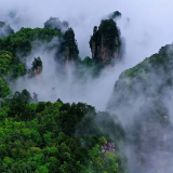水墨氤氲！细雨中的杨家界峰墙云雾美不胜收