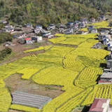 桑植县利福塔镇：党建引领聚合力 “联村共建”谱新篇