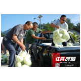 朋友圈变身“助农卖场” 武陵源区黄家坪村5天销出4000斤包菜