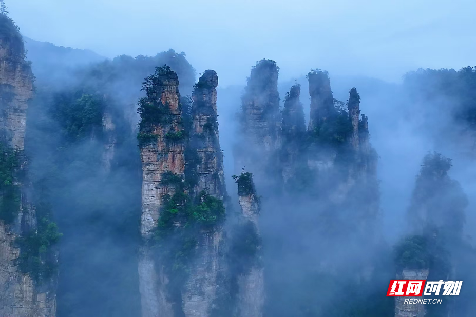 张家界十里画廊雨后云雾似仙境 游人乐享清凉之旅