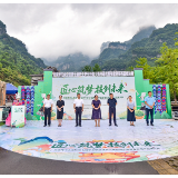 永定区第七届职工职业技能大赛开幕 莓茶直播决赛精彩开赛