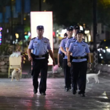 【平安护航2025】武陵源公安双所亮剑 追客赶客无处遁形
