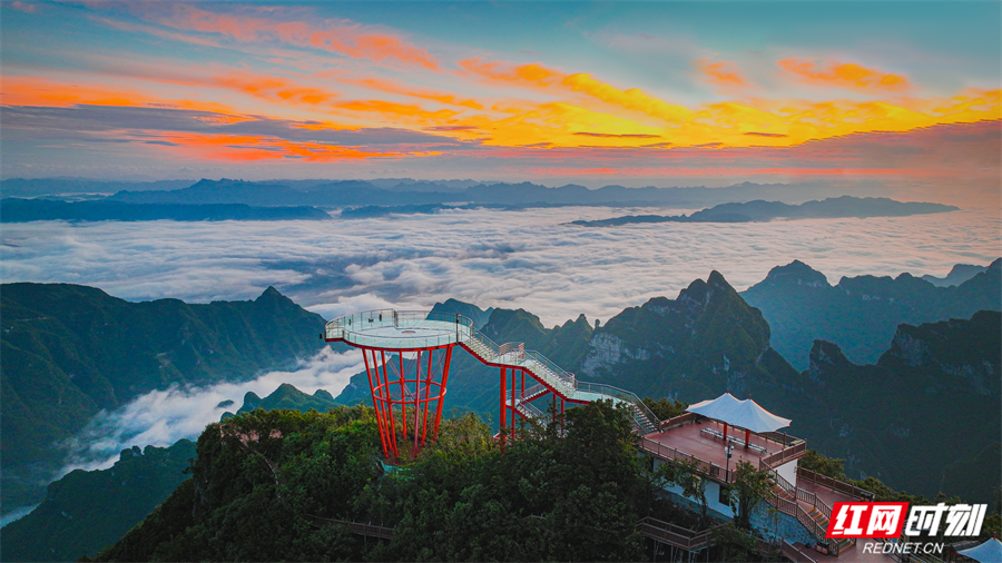避暑康养到湖南⑬丨张家界七星山：把“空调”搬进云端，邀你赴一场山野清凉之约