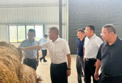 杨广林来慈利县调研秸秆综合利用及焚烧管控工作