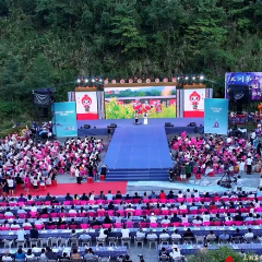 民族之花绽桑植｜桑植县民族团结进步标识LOGO、IP动漫卡通形象和主题歌发布