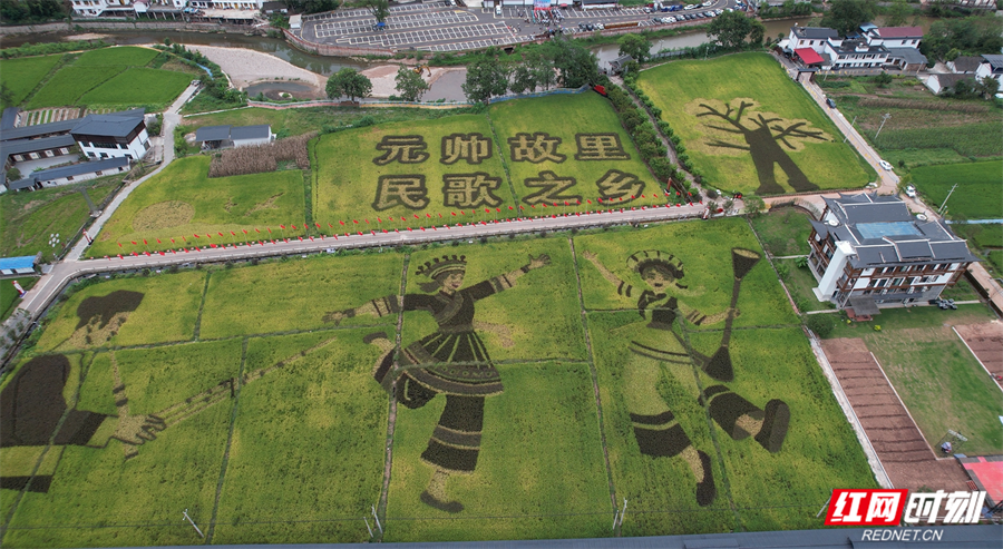 千年一会 一会千年 桑植唱响民族团结与乡村振兴新乐章