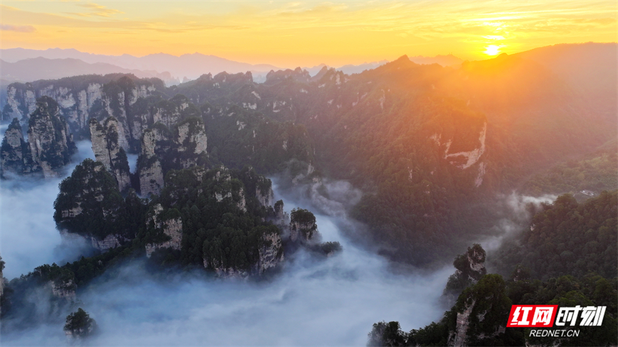 张家界鹞子寨景区：金秋日出云海同框 绘就多彩山水画卷