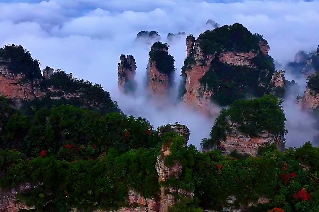 杨家界雨后云海漫卷 峰墙奇观若仙境