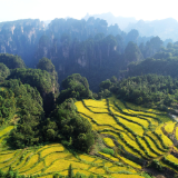 国庆游张家界｜双节气温适宜 旅游正当时