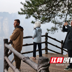 张家界国家森林公园入境游开局良好（组图）
