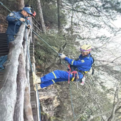 绝壁“蜘蛛侠”守护峰林秀色 武陵源蓝天救援队联合黄石寨景区悬崖保洁队悬崖清废获赞