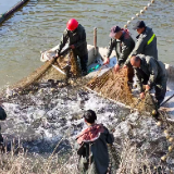 慈利县:党群服务链 串起增收路