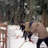 雪裹奇峰守初心 破冰护行暖客途——张家界国家森林公园黄石寨景区连续三日坚守除冰