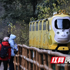 张家界市武陵源区：乐享冬日旅行时光（组图）