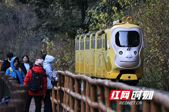 张家界市武陵源区：乐享冬日旅行时光（组图）