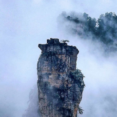 峰林云海间的回响：在张家界，听见远山的呼唤