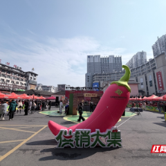 “仙山有好品 购在张家界”2026张家界供销大集·年货节火热开市